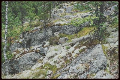 Rocks on rocks