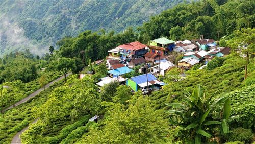 High angle view of trees and buildings