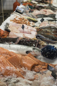 High angle view of fish on ice