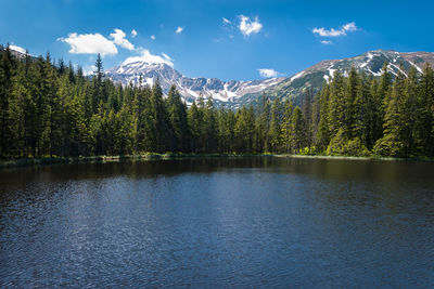 Scenic view of lake by trees against sky