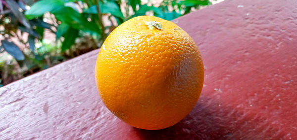 Close-up of orange