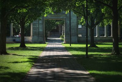 Walkway amidst trees in park