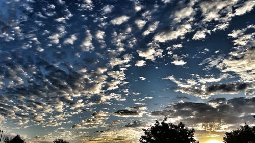 Low angle view of silhouette trees against sky