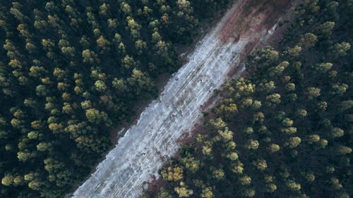 High angle view of trees by sea