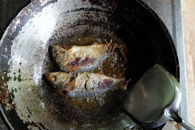 Close-up high angle view of food