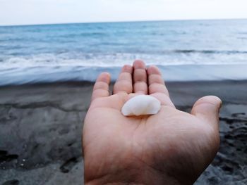 Cropped hand of person holding seashore