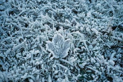 Full frame shot of snowflakes