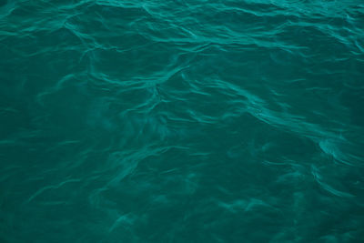 High angle view of swimming pool