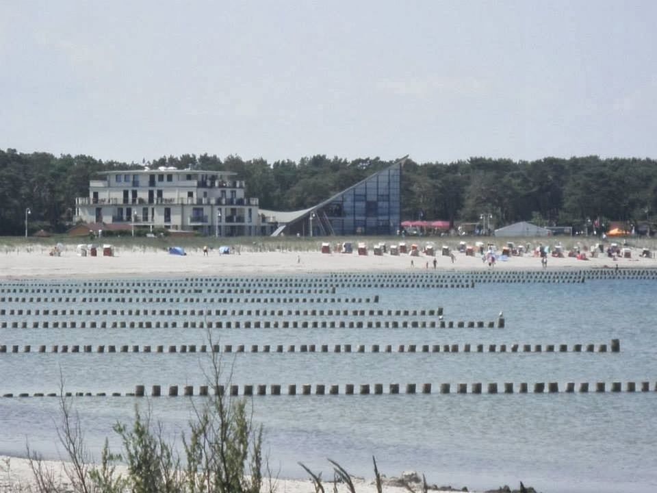 built structure, architecture, building exterior, water, beach, sea, clear sky, tree, shore, large group of people, incidental people, vacations, travel destinations, sand, day, tourism, copy space, outdoors, travel, sky