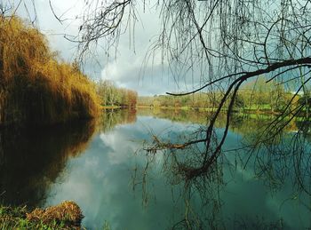 Reflection of trees in lake against sky