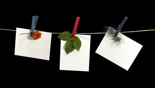 Low angle view of paper hanging on clothesline against black background