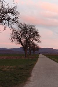 Road passing through field