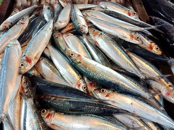 High angle view of fish for sale