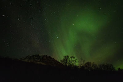 Low angle view of silhouette trees against sky at night