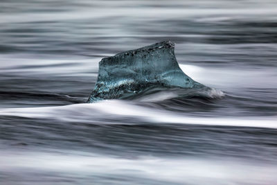 Close-up of swimming in sea