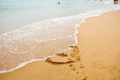 Scenic view of beach