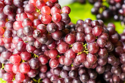 Close-up of grapes