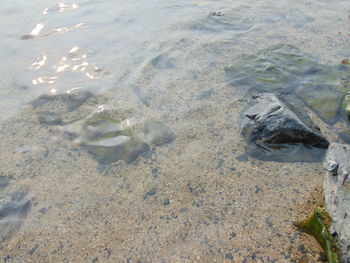 High angle view of wet sand at beach