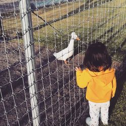 Rear view of a girl on fence