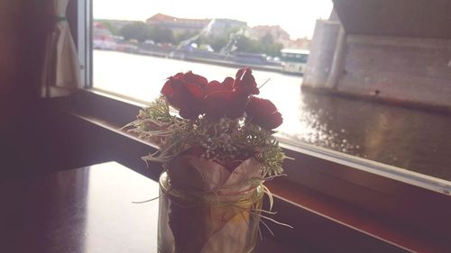 Close-up of rose on glass window