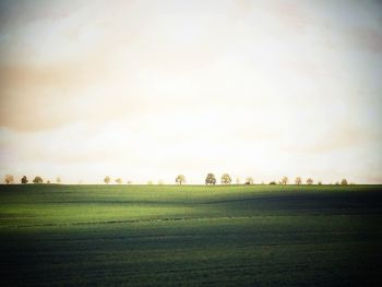 Scenic view of grassy field against sky