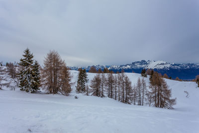 Scenic view of snow covered landscape against sky