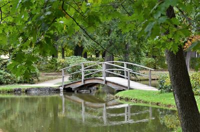 Bridge over river against trees