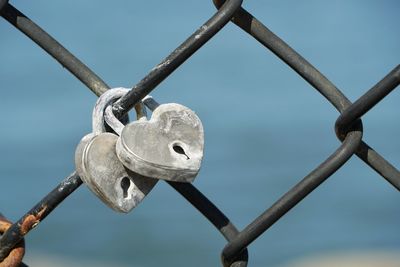 Close-up of padlocks on fence