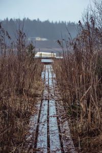 Bare trees by lake against sky