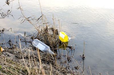 High angle view of yellow floating on water at lake