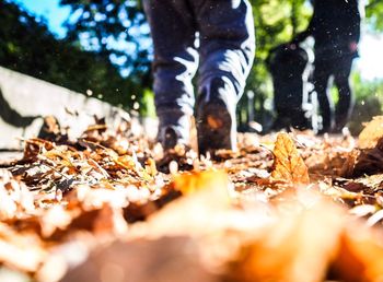 Low section of person standing on leaves