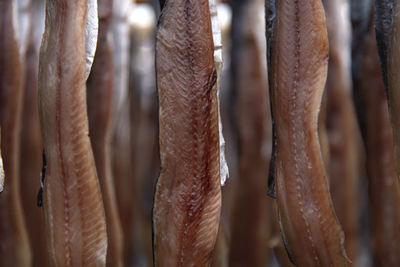 Full frame shot of drying fishes which are herrings and saury