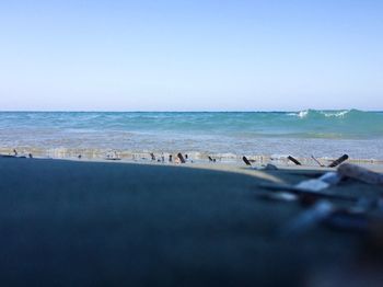 Birds on beach against clear sky