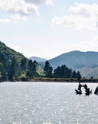 Scenic view of lake against sky