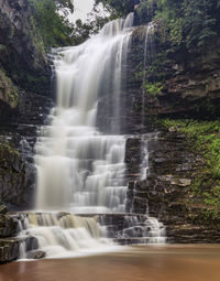 Scenic view of waterfall in forest