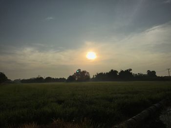 Scenic view of field against sky during sunset