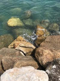 High angle view of rocks at shore