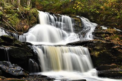 Scenic view of waterfall in forest