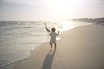 Rear view of boy running towards heron at beach during sunset