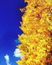 Low angle view of tree against blue sky