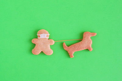 High angle view of cookies on green background