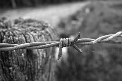 Close-up of barbed wire