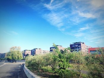 Road with buildings in background