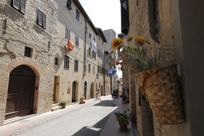 Narrow alley amidst buildings in city