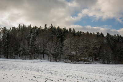 Trees on snow covered field against sky