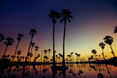 Silhouette palm trees by lake against sky during sunset