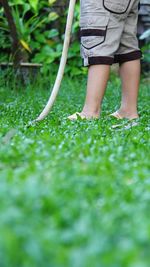 Low section of person standing on grass