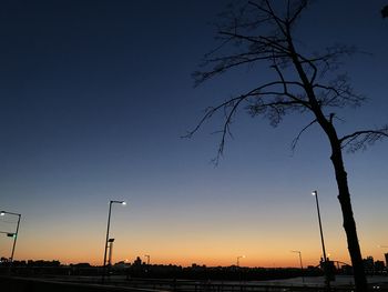 Silhouette of street lights at sunset