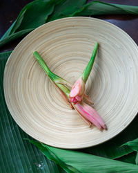 Bunga kantan known as torch ginger flower with scientific name etlingera herb on a wooden plate.
