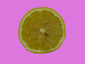 Close-up of lemon slice against pink background